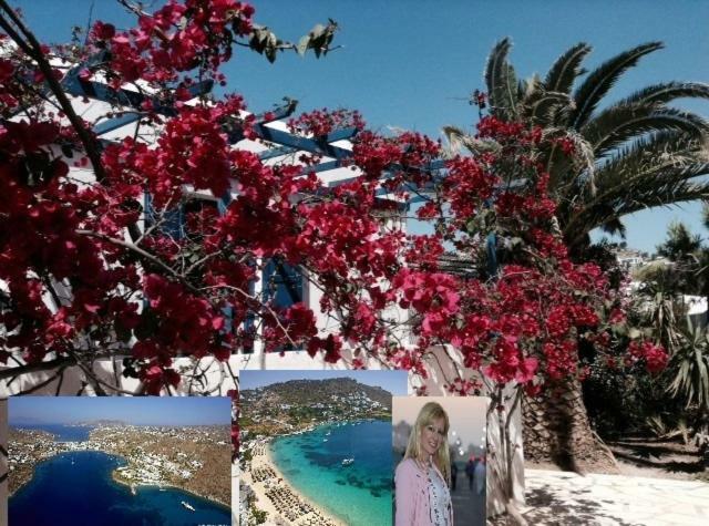 Magical Ornos! Beach House!Beach 1' Walk-Mykonos Town 2Km Extérieur photo